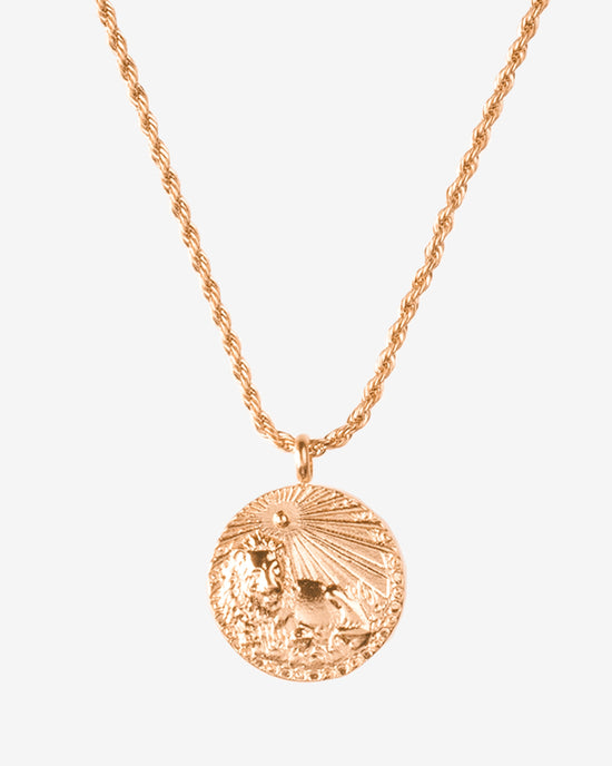 Zodiac Sign Necklace Roségold