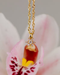 [[Farbe:Roségold]]
