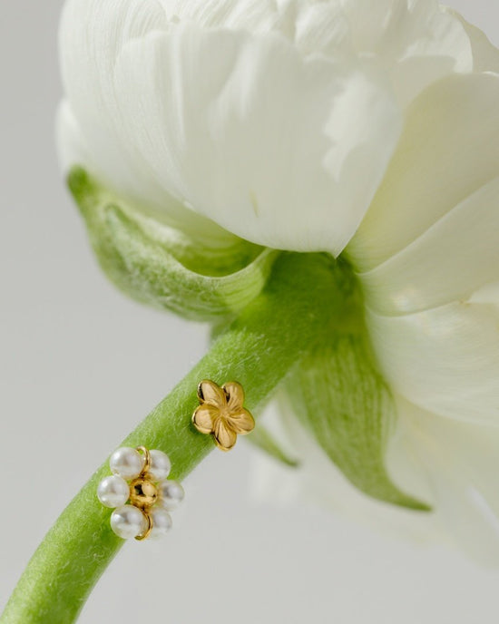 Floral Glow Studs Roségold
