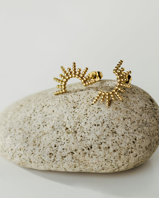 Sunny Earrings Roségold