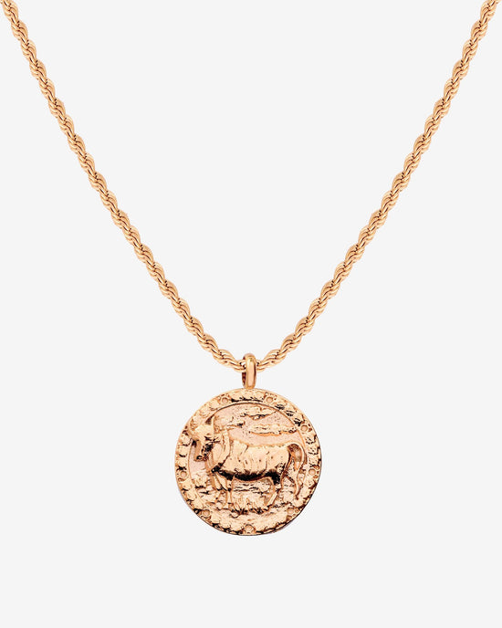 Zodiac Sign Necklace Roségold