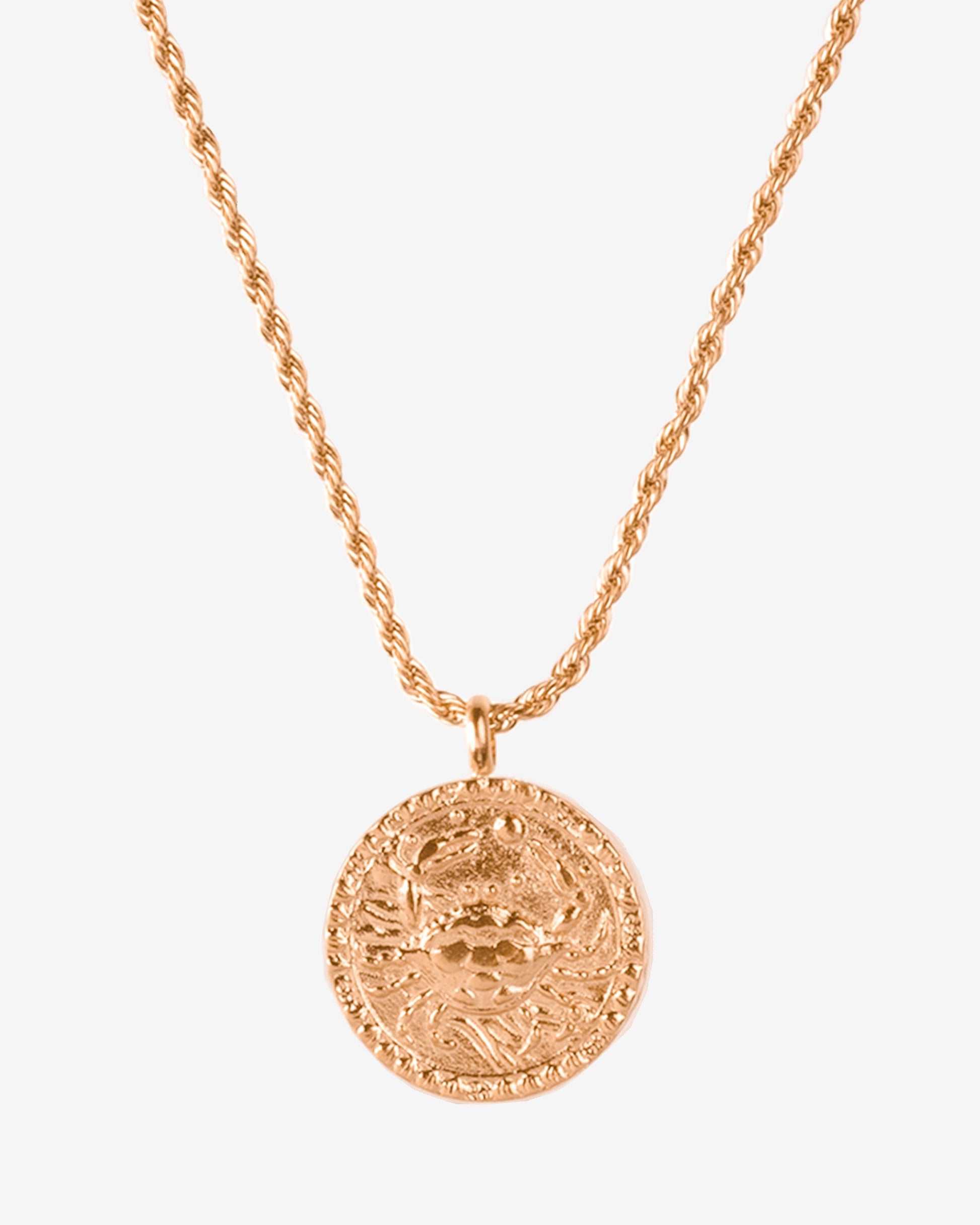 Zodiac Sign Necklace Roségold