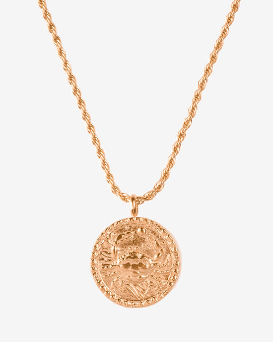 Zodiac Sign Necklace Roségold