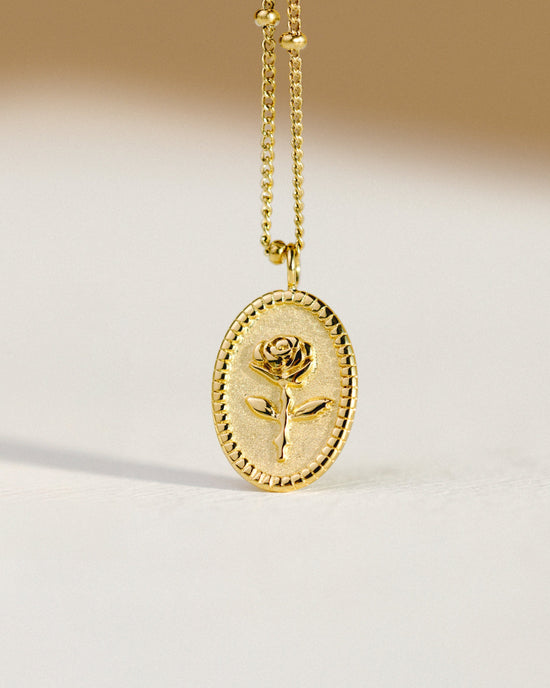 Tale as old as time Necklace Roségold