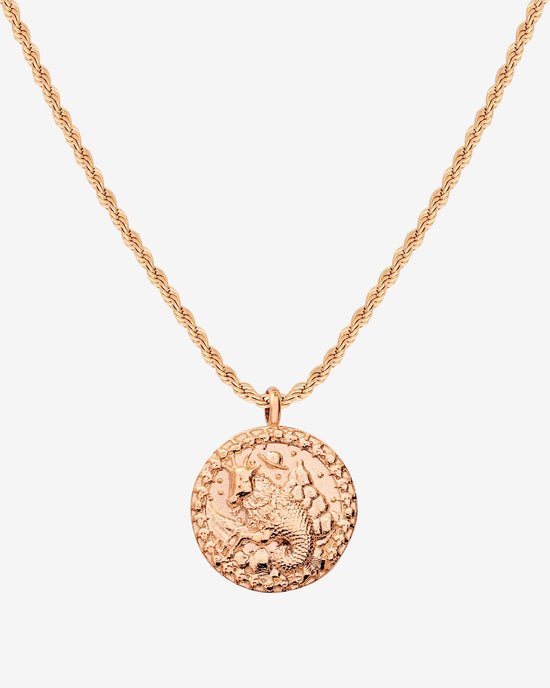 Zodiac Sign Necklace Roségold