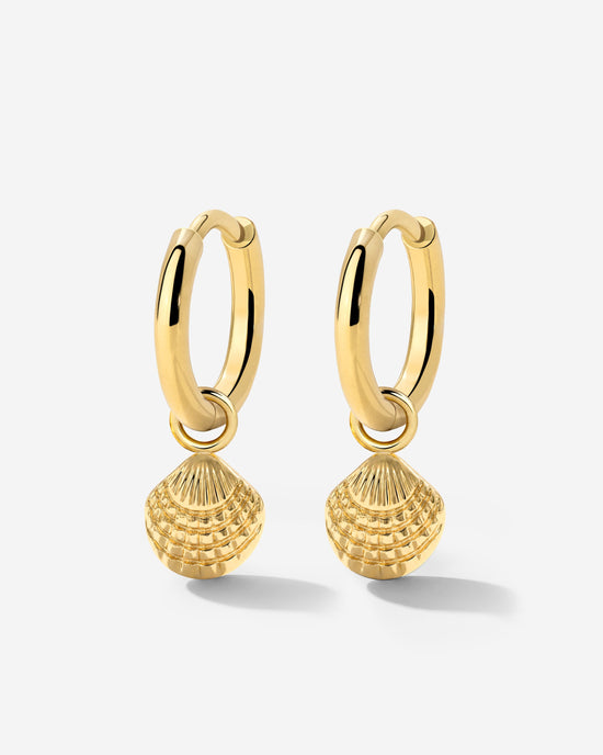 Cute Shell Hoop Set Gold