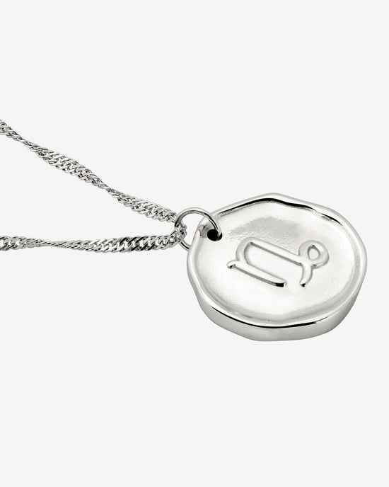 Zodiac Necklace – Capricorn / Steinbock Silber