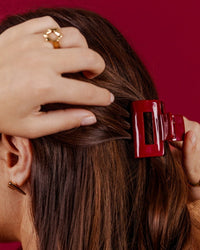 Hairclaw Small