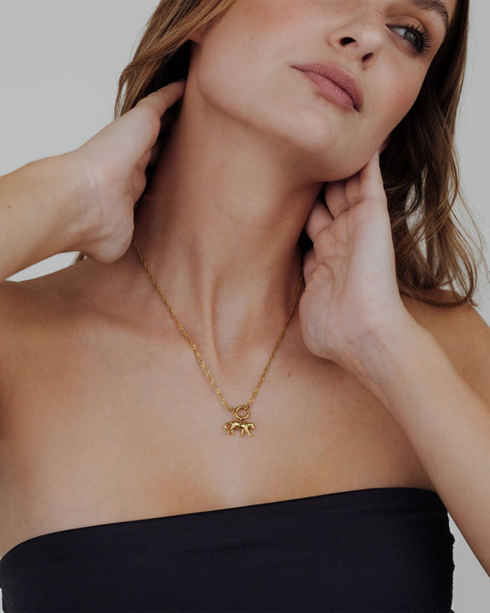 Leopard Singapore Chain Necklace Set Gold