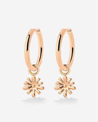 [[Farbe:Roségold]]
