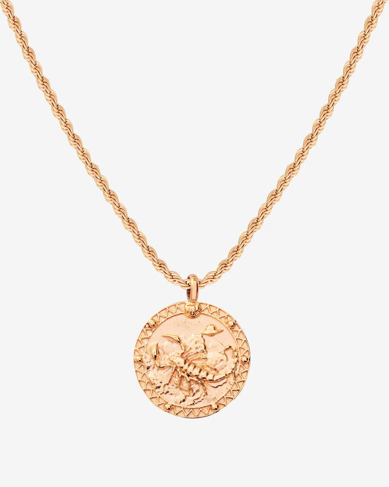 Zodiac Sign Necklace Roségold