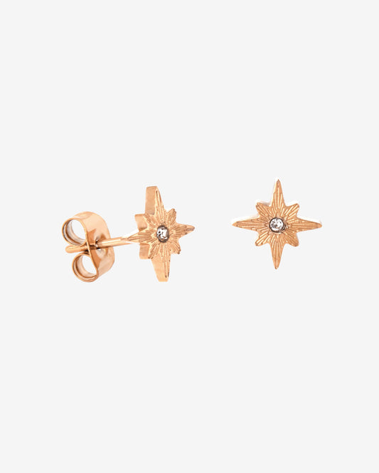 Shiny Anna Stud Earrings Roségold