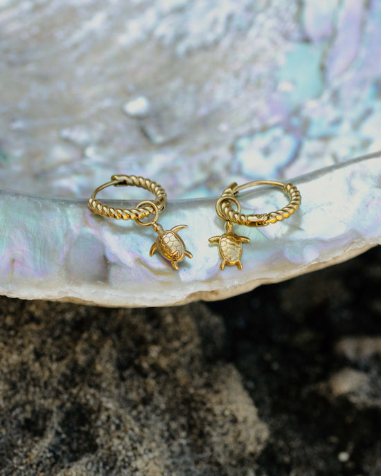 Sea Turtle Twisted Hoop Set Small Roségold