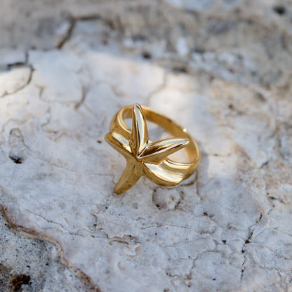 Sea Star Ring Silber