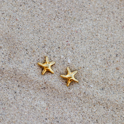 Sea Star Studs Roségold