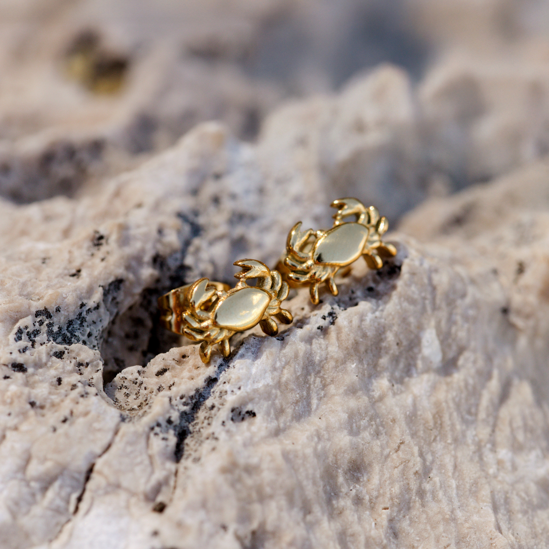 Crab Chaser Studs Silber