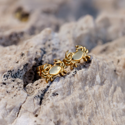 Crab Chaser Studs Silber