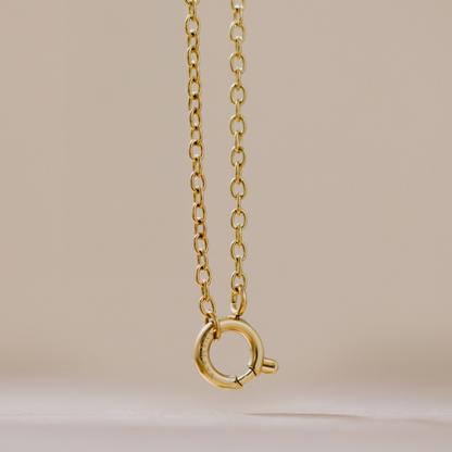 Classic Chain Charm Necklace Roségold