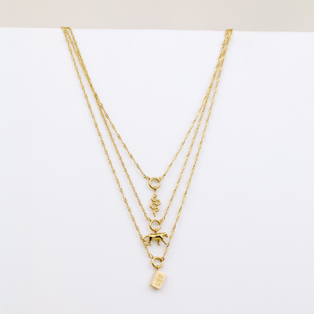 Singapore Chain Charm Necklace Set