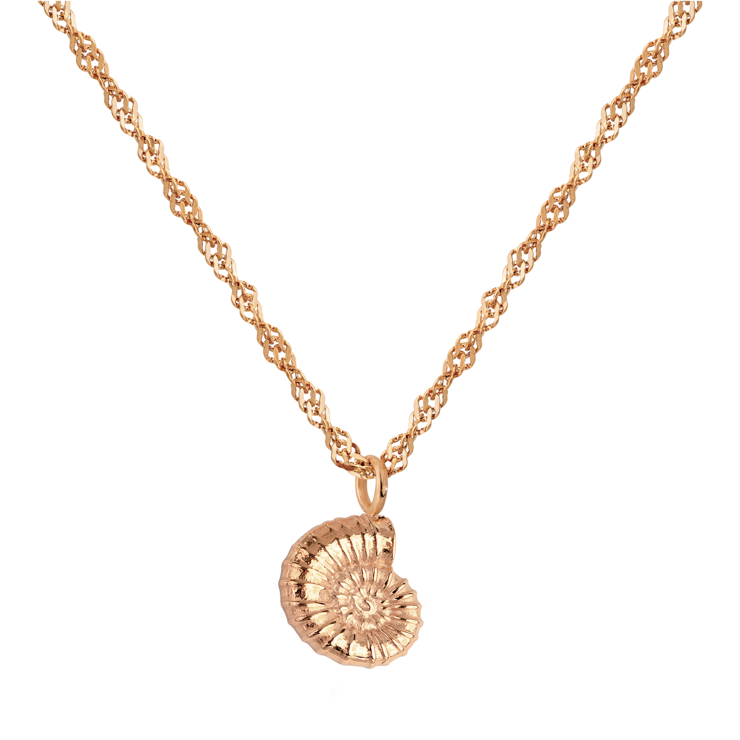 Shell Seeker Necklace Roségold