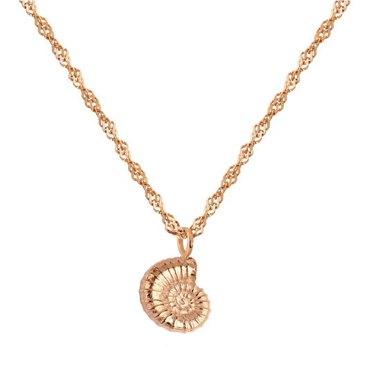 Shell Seeker Necklace Roségold