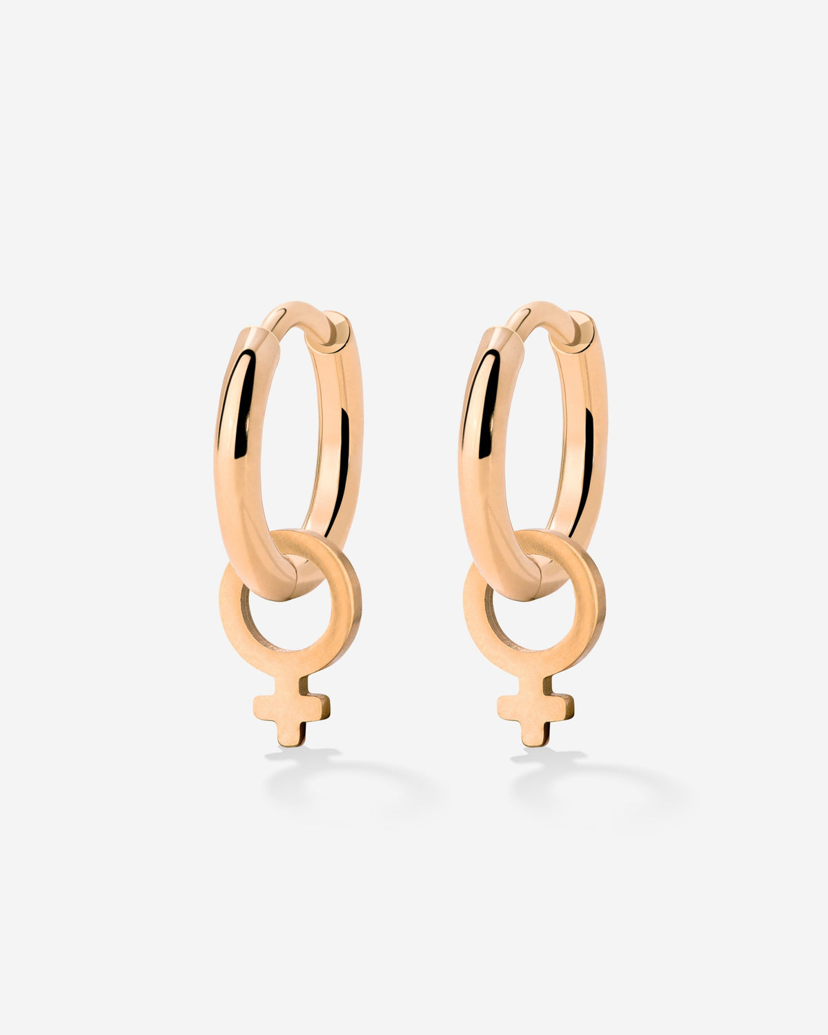 Female Icon Hoop Set Small Roségold