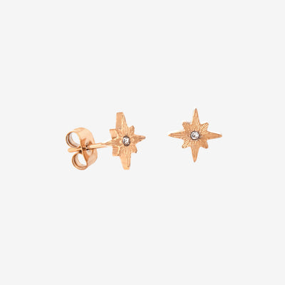 Shiny Anna Stud Earrings Roségold