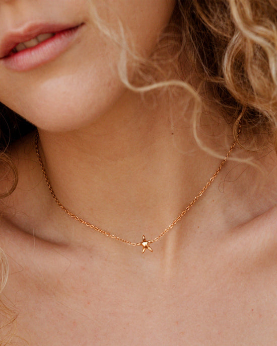 Sea Star Choker Roségold