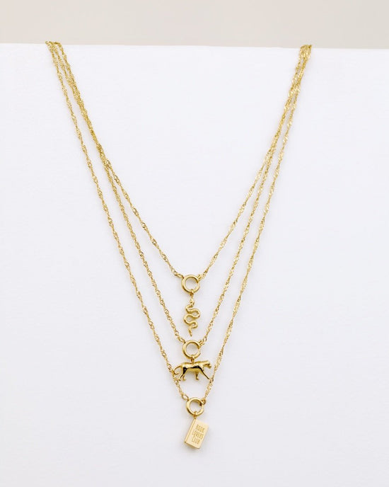 Singapore Chain Charm Necklace Set