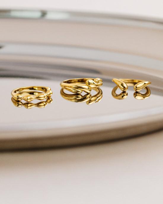 Twin Souls Ring
