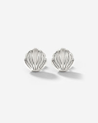 [[Farbe:Silber]]