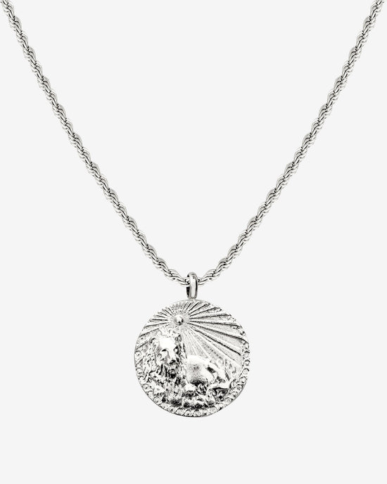 Zodiac Sign Necklace Silber
