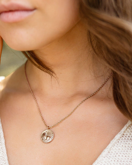 Zodiac Sign Necklace Roségold