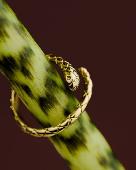 Vipers Ring Silber