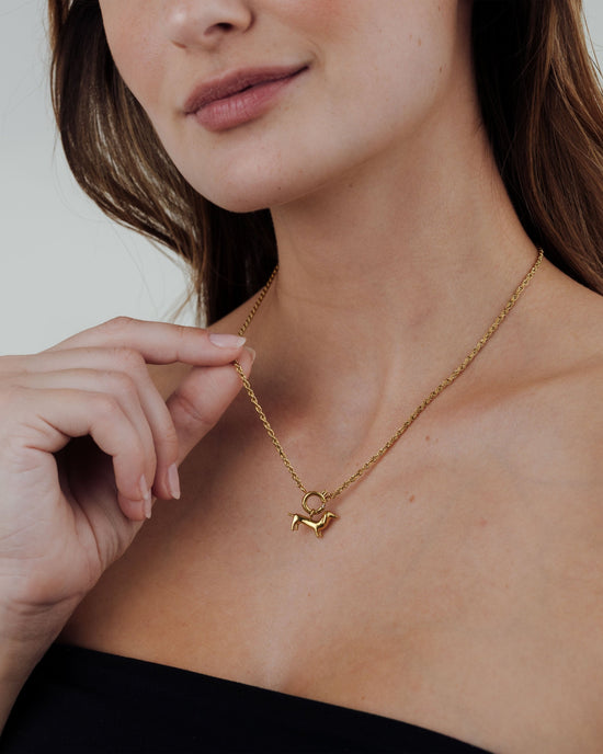 Rope Chain Charm Necklace Set