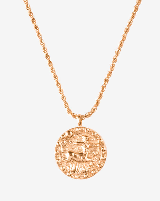Zodiac Sign Necklace Roségold