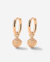Cute Shell Hoop Set Roségold