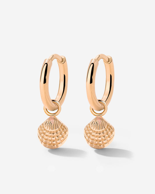 Cute Shell Hoop Set Roségold