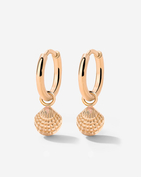 Cute Shell Hoop Set Roségold