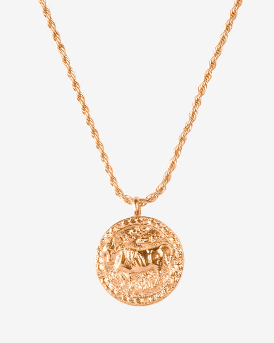 Zodiac Sign Necklace Roségold