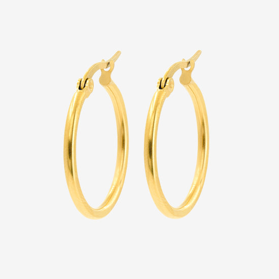 Sierra Hoops Large