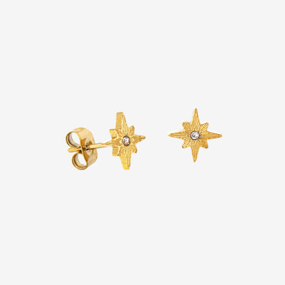 Shiny Anna Stud Earrings Gold