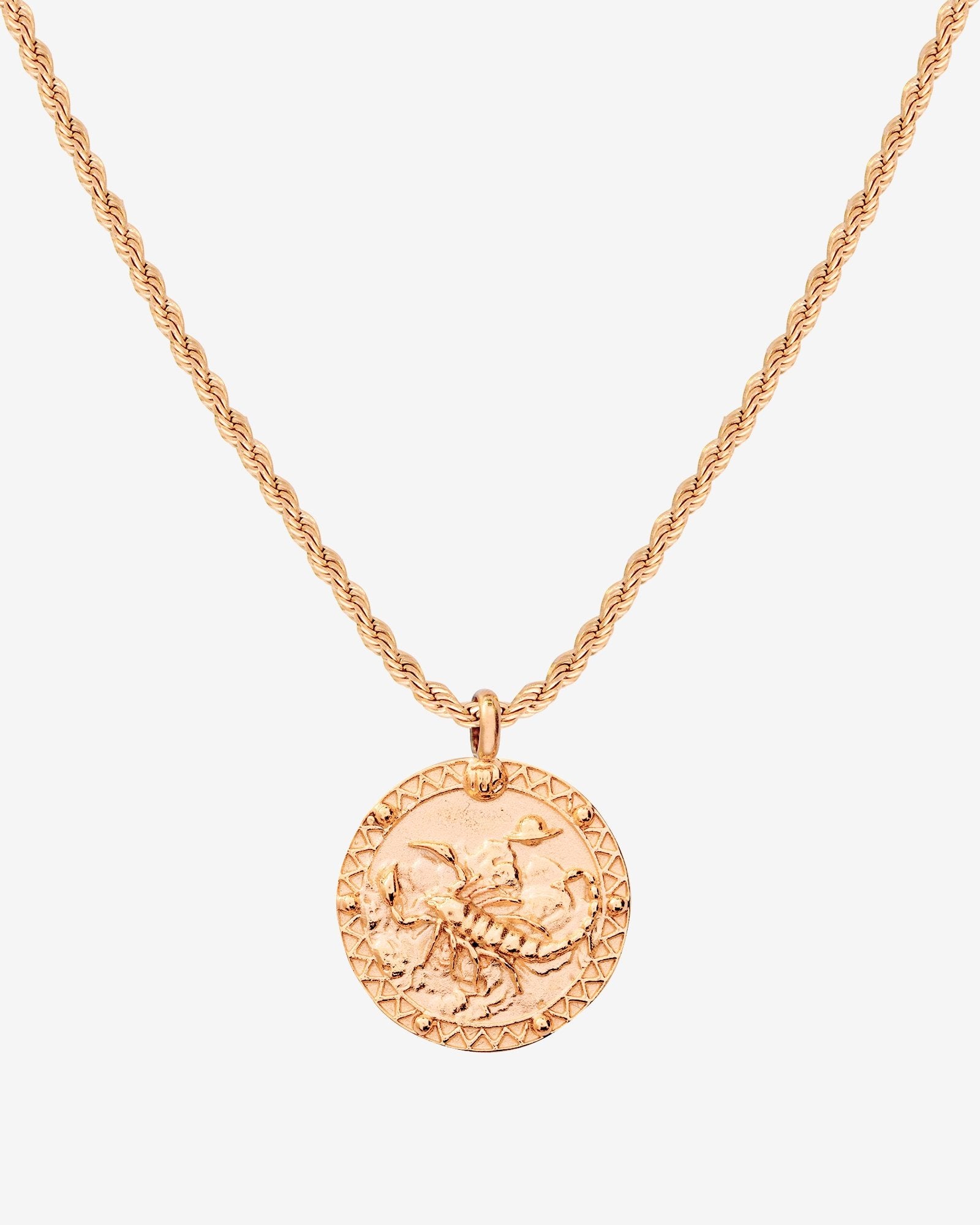 Zodiac Sign Necklace Roségold