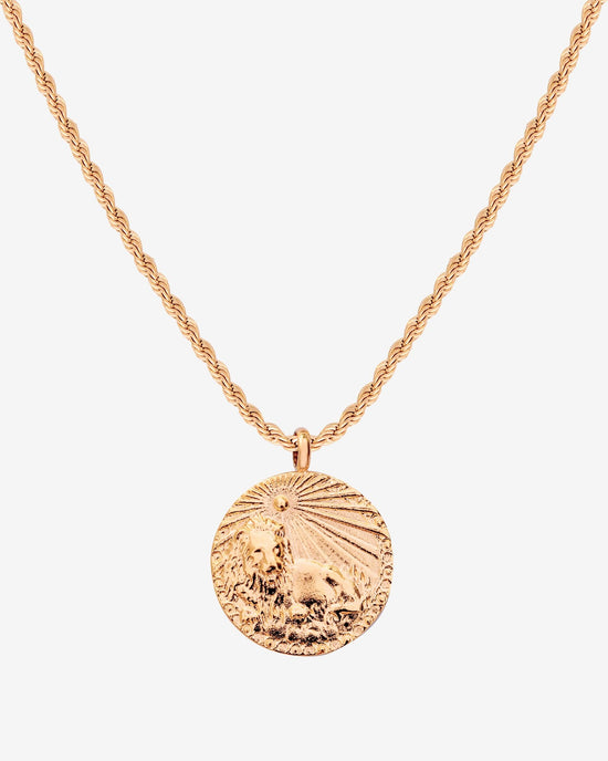 Zodiac Sign Necklace Roségold