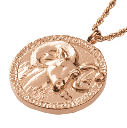 Aries / Widder Necklace Roségold