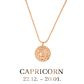 Capricorn / Steinbock Necklace Roségold