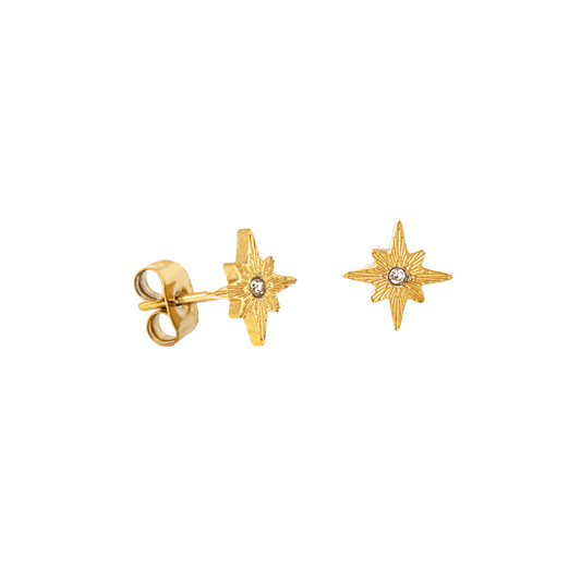 Shiny Anna Stud Earrings Gold