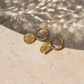 Sand Dollar Hoop Set Roségold
